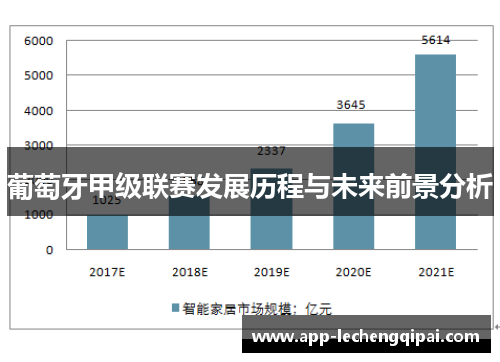 葡萄牙甲级联赛发展历程与未来前景分析